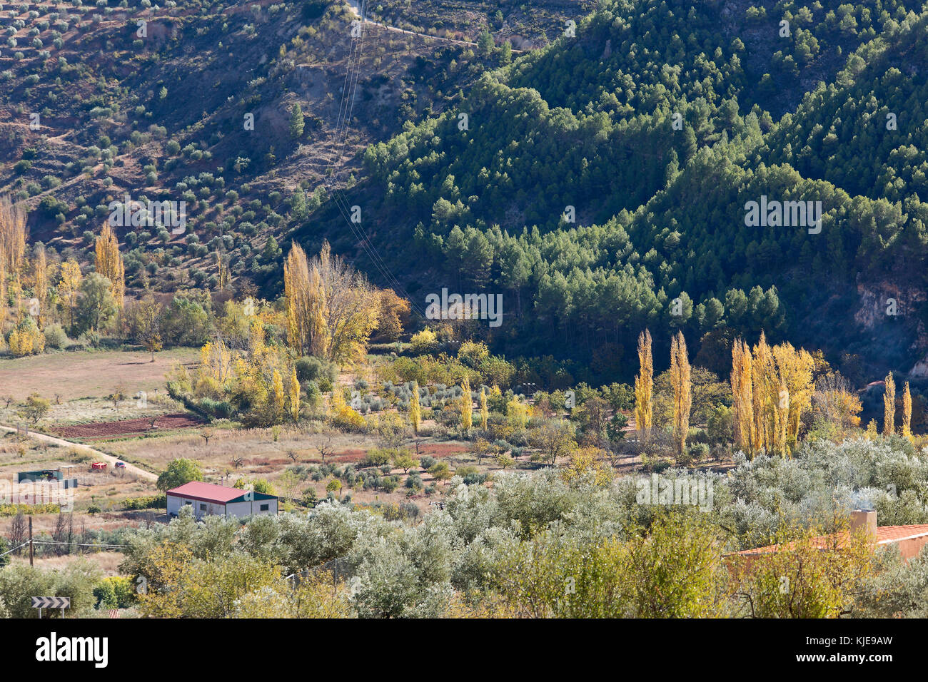 Paesaggio nel comune di bogarra nella provincia di Albacete, Spagna Foto Stock