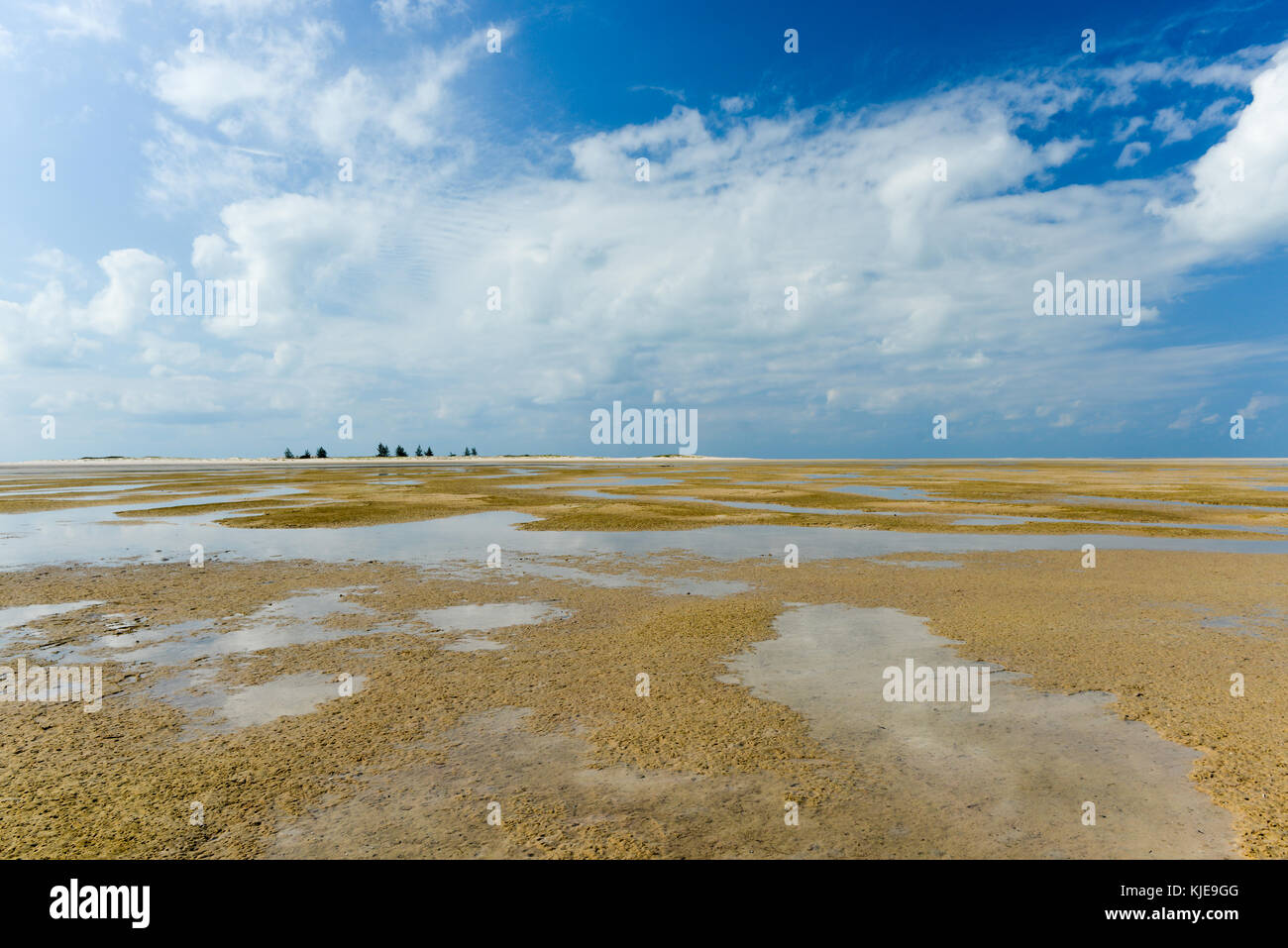 Isola di magaruque, precedentemente ilha Santa Isabel, fa parte dell'Arcipelago di Bazaruto, al largo della costa del Mozambico. Foto Stock