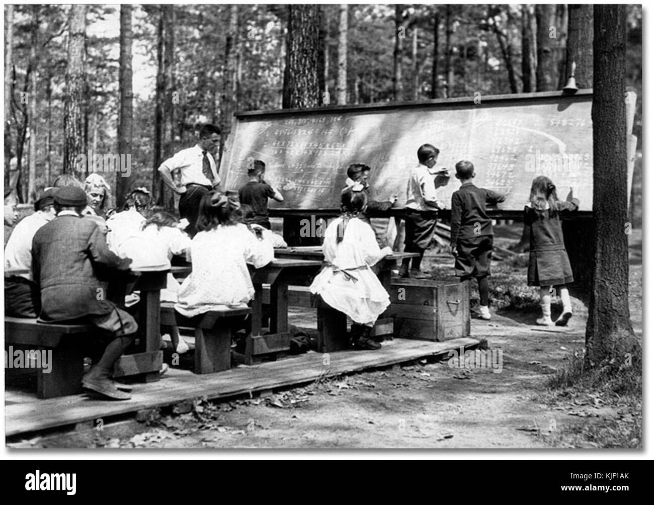Alta foresta del parco classe scolastica Foto Stock