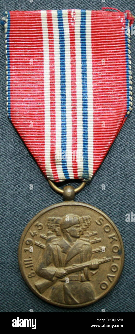 Sokolov medaglia Foto Stock