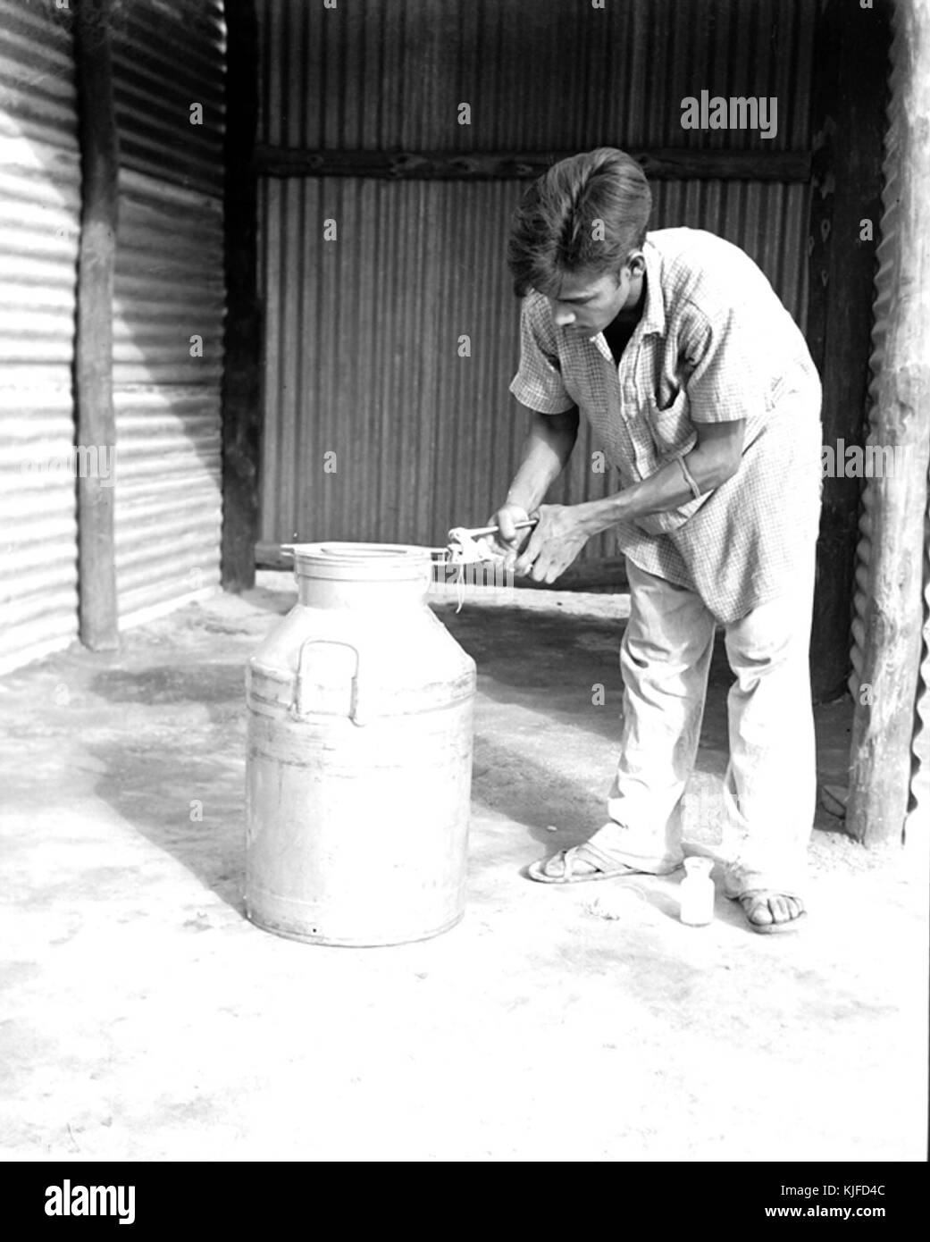 Delhi Latte Regime di alimentazione di contenitori del latte 1951 di tenuta Foto Stock