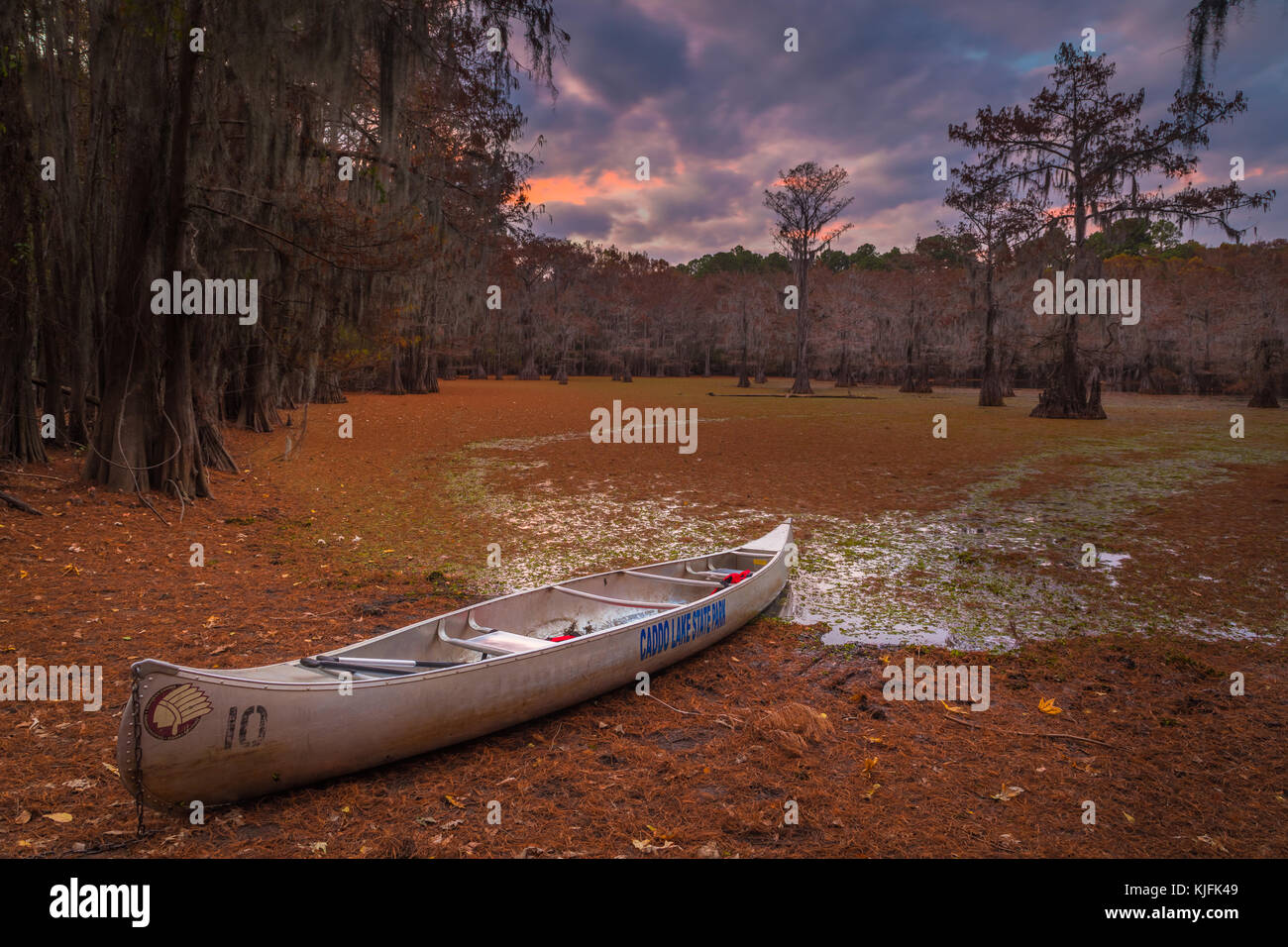 Caddo Lake è un lago e di zone umide situate sul confine tra Texas e Louisiana. Foto Stock