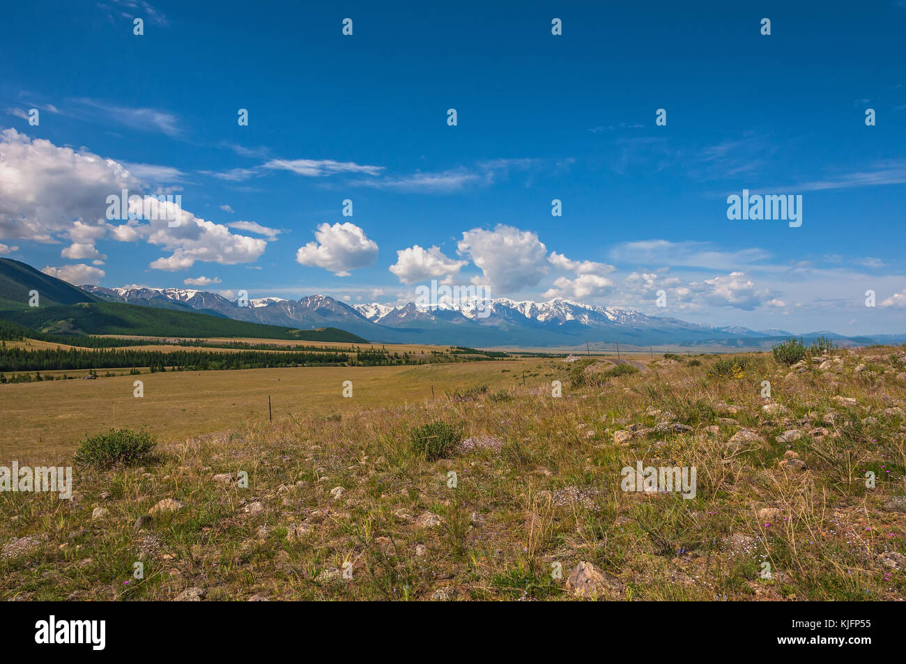 Vedute panoramiche della steppa con vegetazione, montagne innevate, valle e sulla foresta sullo sfondo di un cielo blu e nuvole Foto Stock