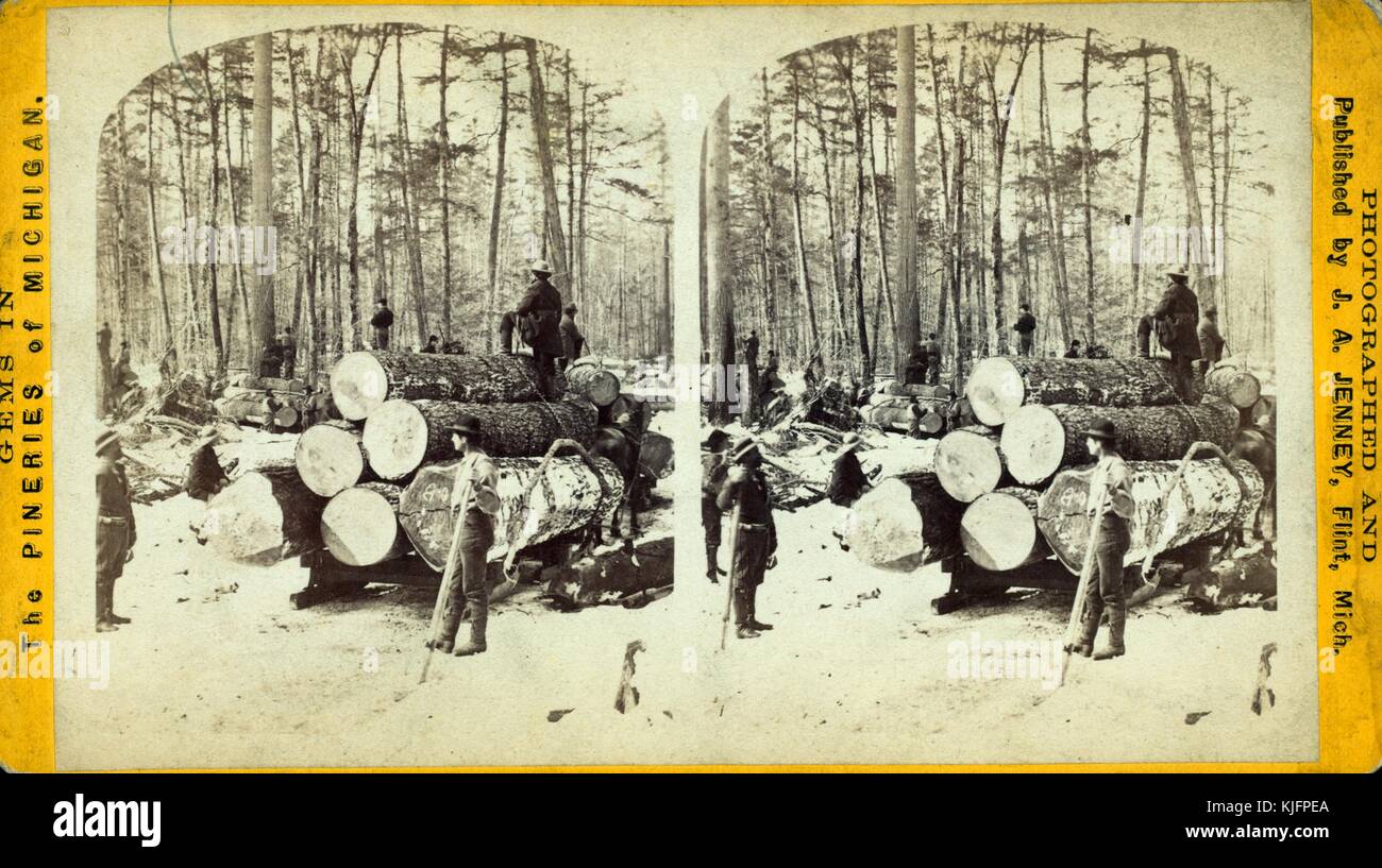 Scheda stereografica raffigurante un gruppo di logger che trasportano tronchi d'albero su una grande slitta, intitolata 'Hauling at LB Curtis and Company', dalla serie Gems in the Pineries of Michigan, fotografata e pubblicata da JA Jenney, Flint, Michigan, 1900. Dalla Biblioteca pubblica di New York. Foto Stock