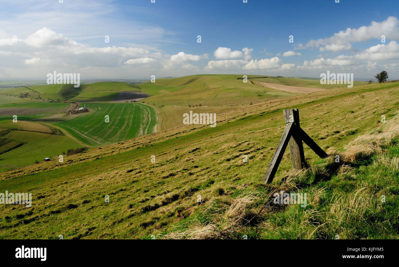 Tan Hill (centro dell'immagine - 294 m), visto dal lato di Milk Hill (295 m), le due colline più alte del Wiltshire. Foto Stock