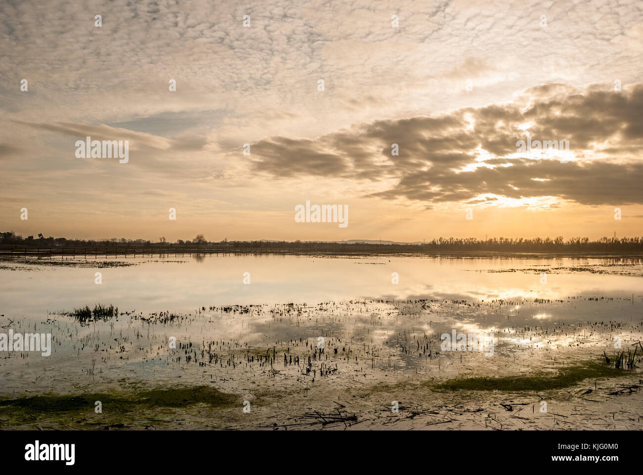 Vista della zona umida con il sole che tramonta dietro le nuvole, Aiguamolls Empordà, Girona, Catalogna Foto Stock
