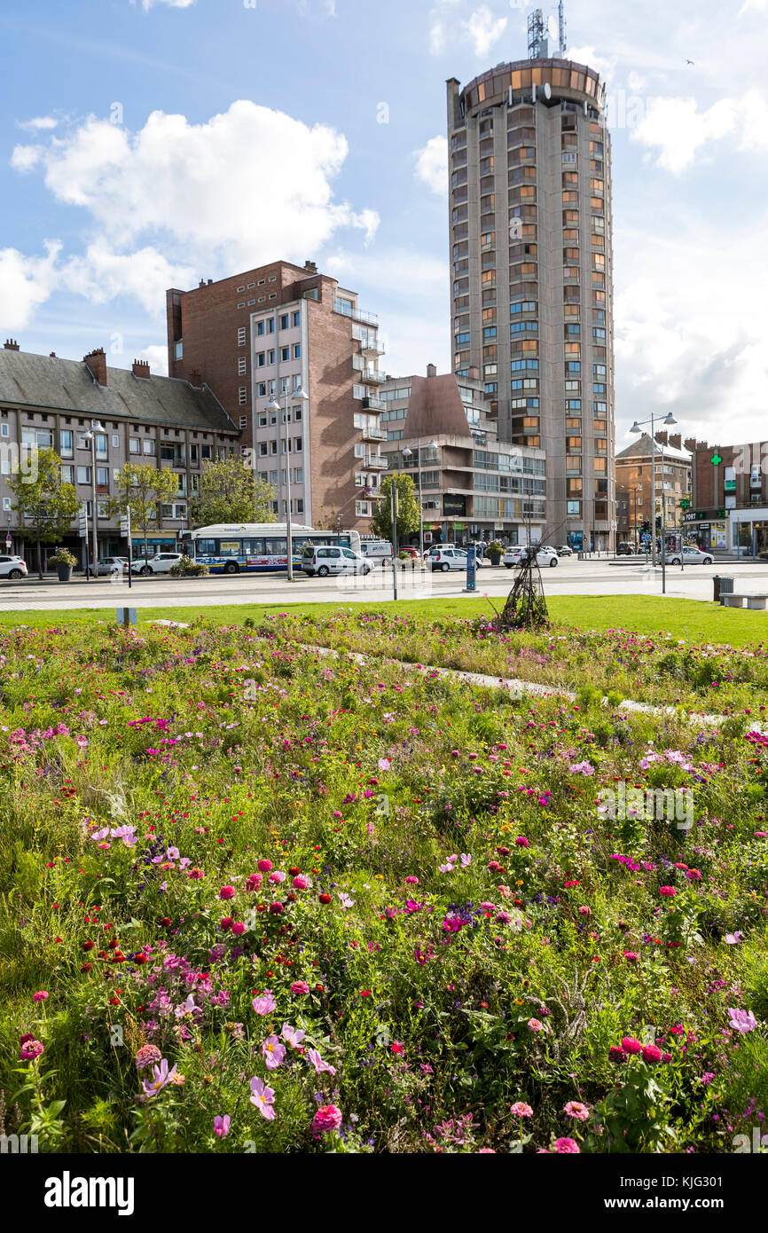 Comunale letti di fiori piantati con un fiore impollinatrice mix per aiutare la fauna selvatica e un ottimo aspetto. Place du Minck,Dunkerque, Francia Foto Stock