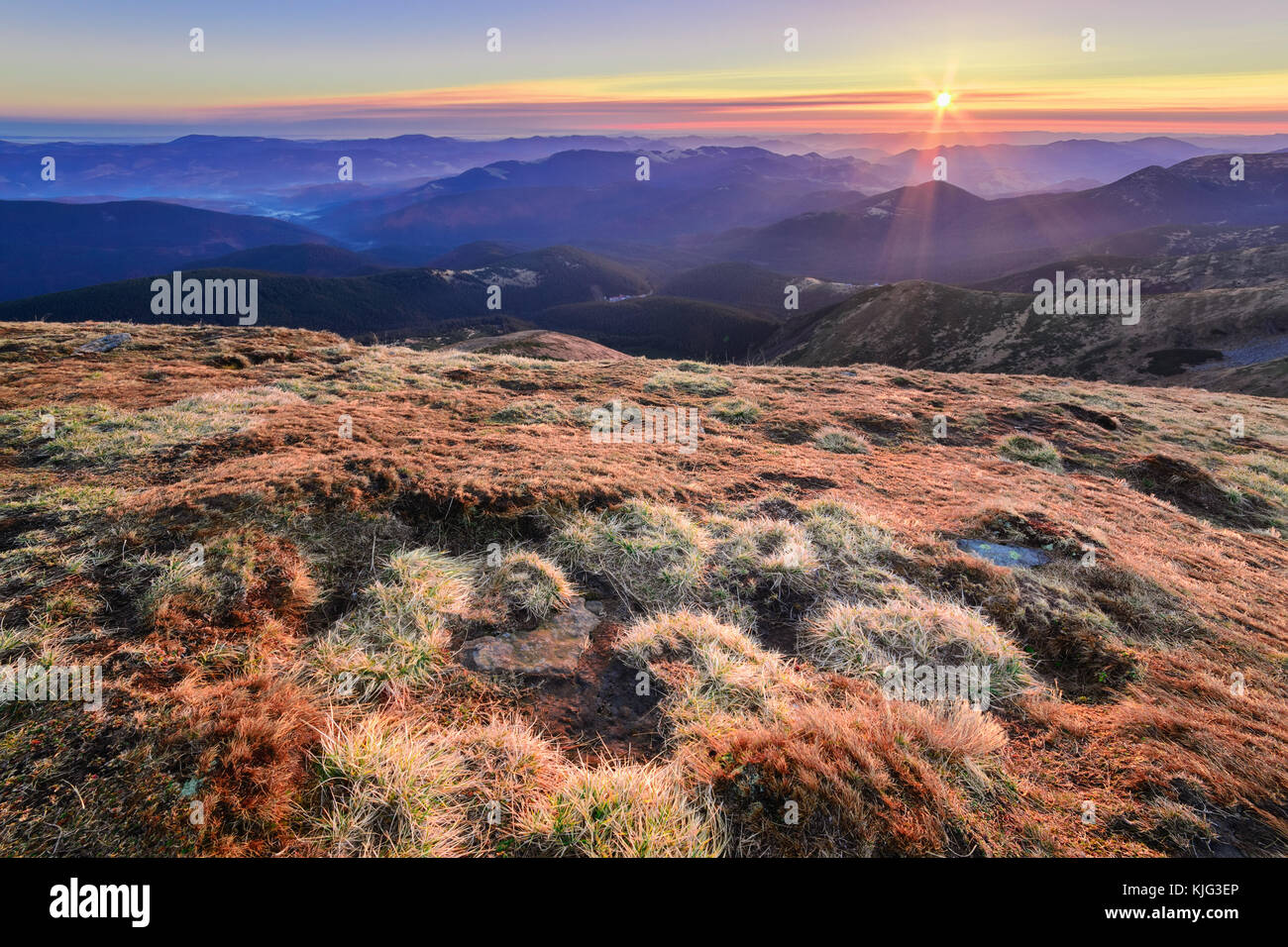 Incredibilmente bella mattina di un nebbioso autunno alba in montagna. Carpazi Foto Stock