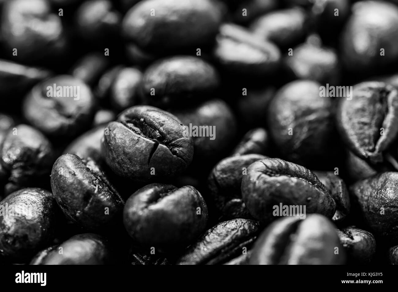 Chicchi di caffè Foto Stock