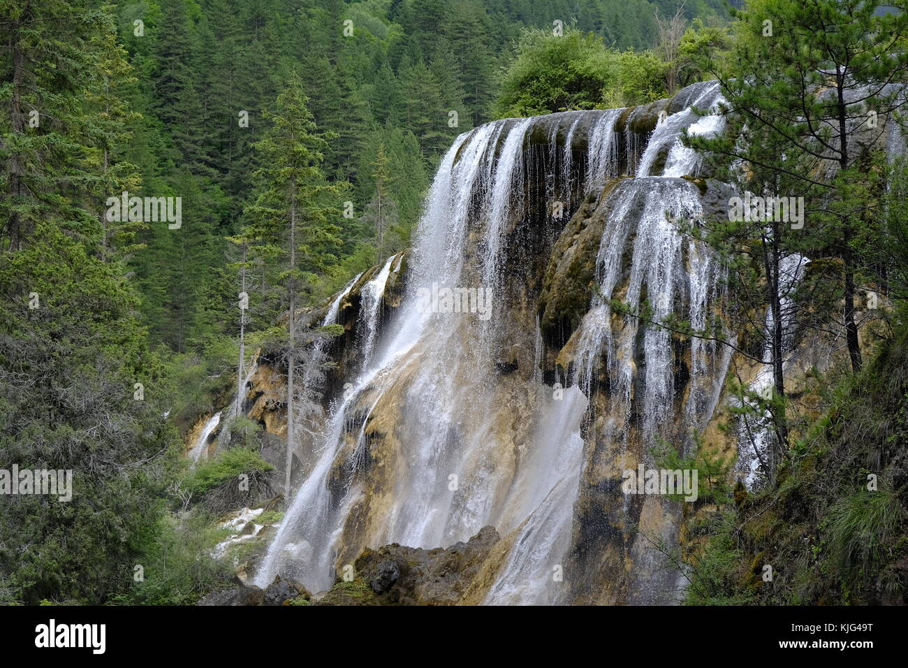 Pearl cascate a valle di Jiuzhaigou Foto Stock