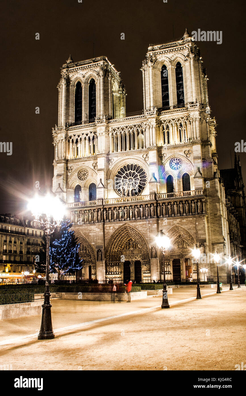Cattedrale di Notre Dame (Cattedrale di Notre Dame) di notte. Parigi, Francia. Foto Stock