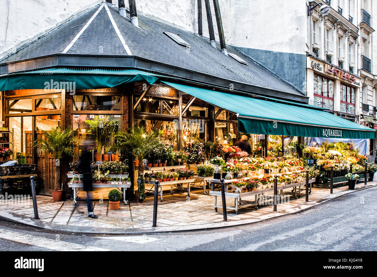 Negozio di fiori di Rue de Buci. Parigi, Francia. Foto Stock