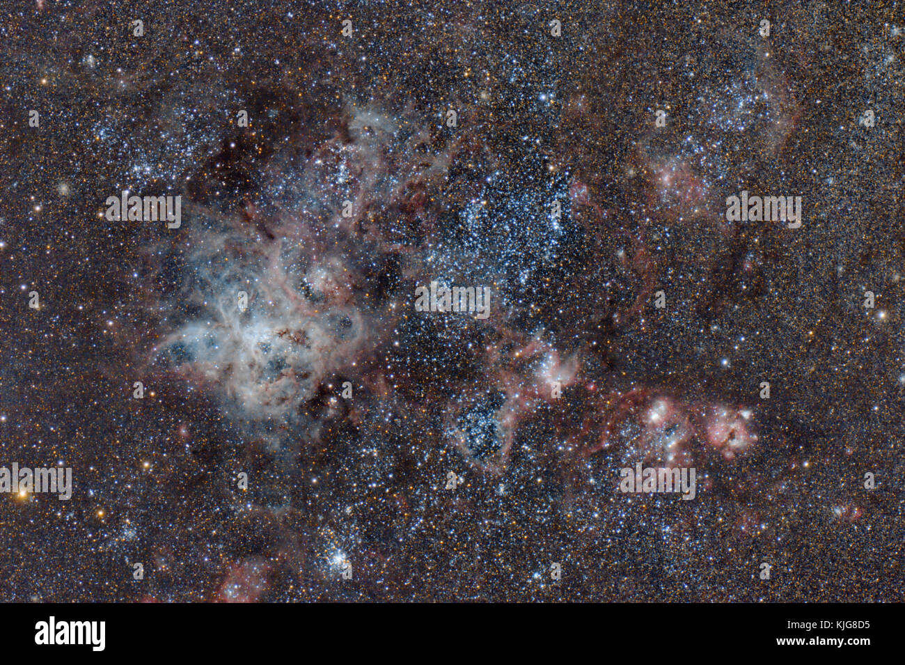 La Namibia, Regione Khomas, vicino Uhlenhorst, Astrophoto di emissione nebulose NGC 2070 o Tarantula Nebula nella grande Magellanic Cloud con un telescopio Foto Stock