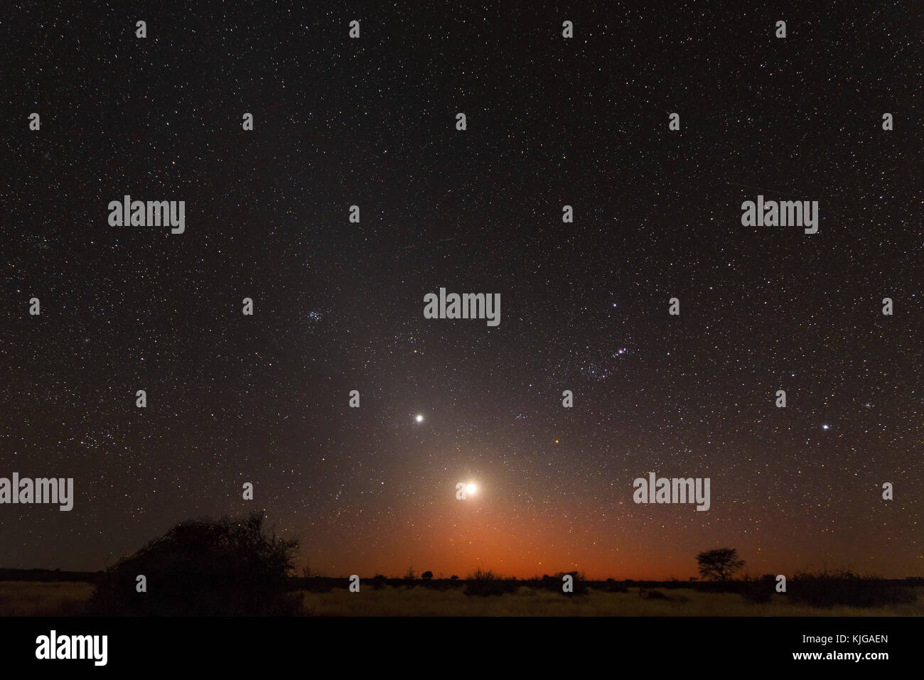 La Namibia, Regione Khomas, vicino Uhlenhorst, Astrophoto, aumento della luna e il pianeta Venere incorporato nella brillante luce zodiacale durante l alba, la costellazione di Orione capovolto Foto Stock