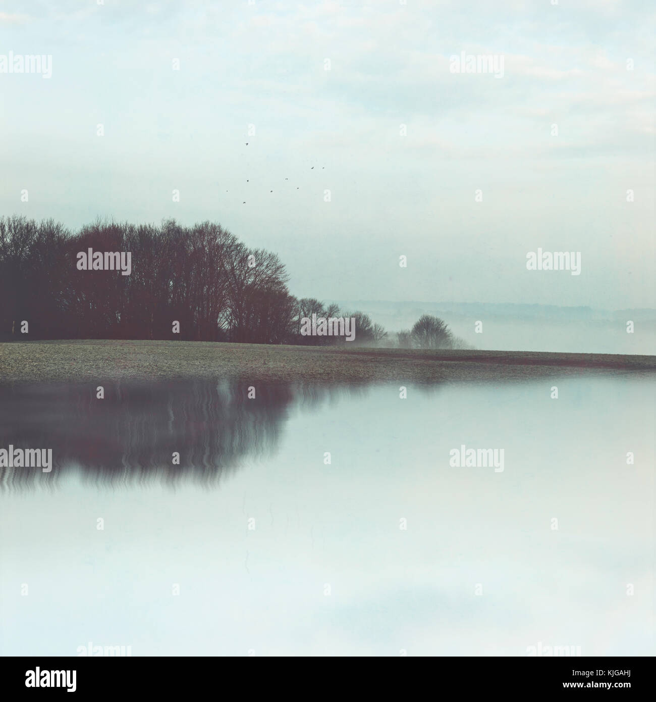 Unter Wasser stehendes Feld mit Spiegelung, Wuppertal, Deutschland Foto Stock