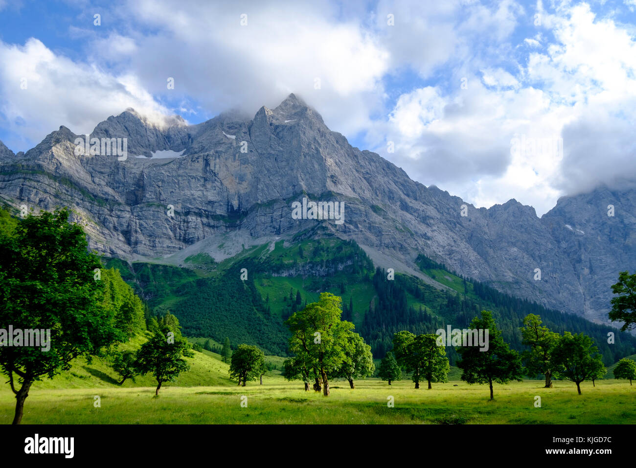 Ahornbäume, Ahornboden, Eng, Enger Tal, Rißbachtal, Risstal, Karwendel, Tirol, Österreich, Foto Stock