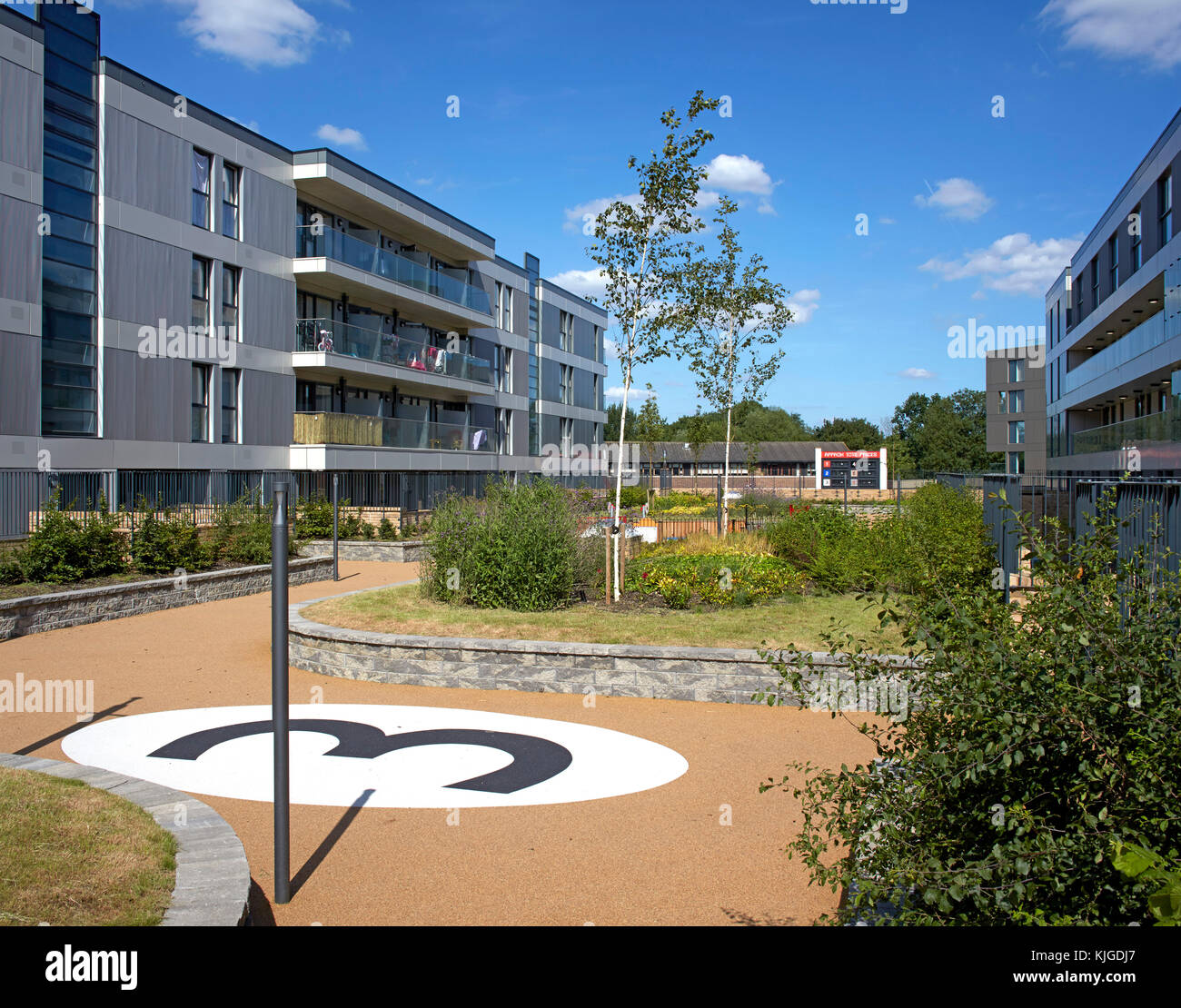 Centrale rialzata area giardino. Walthamstow Stadium Housing Development, Walthamstow, Regno Unito. Architetto: Conran e partner , 2017. Foto Stock