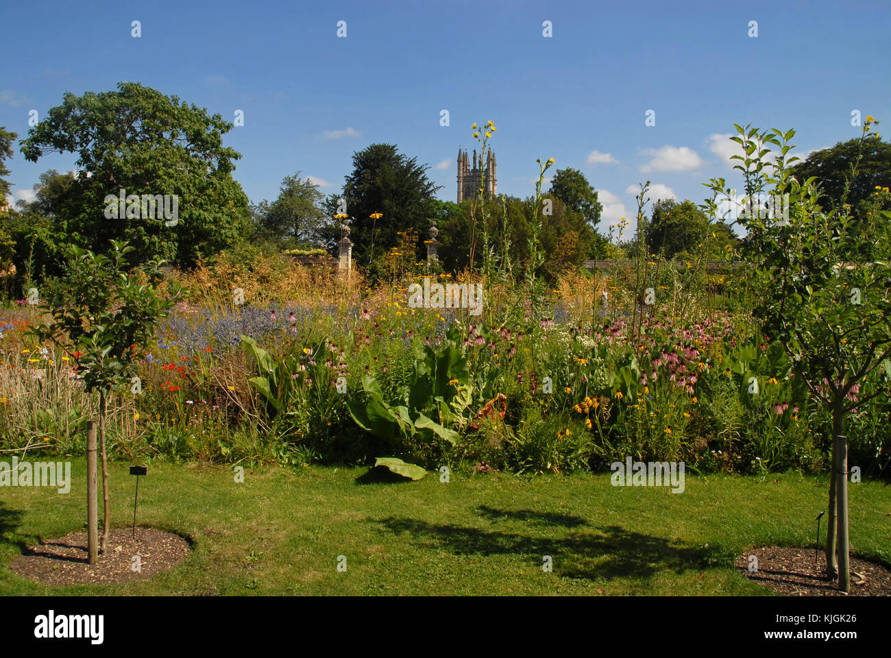 Giardino botanico dell'università di Oxford e di magdalen tower Foto Stock