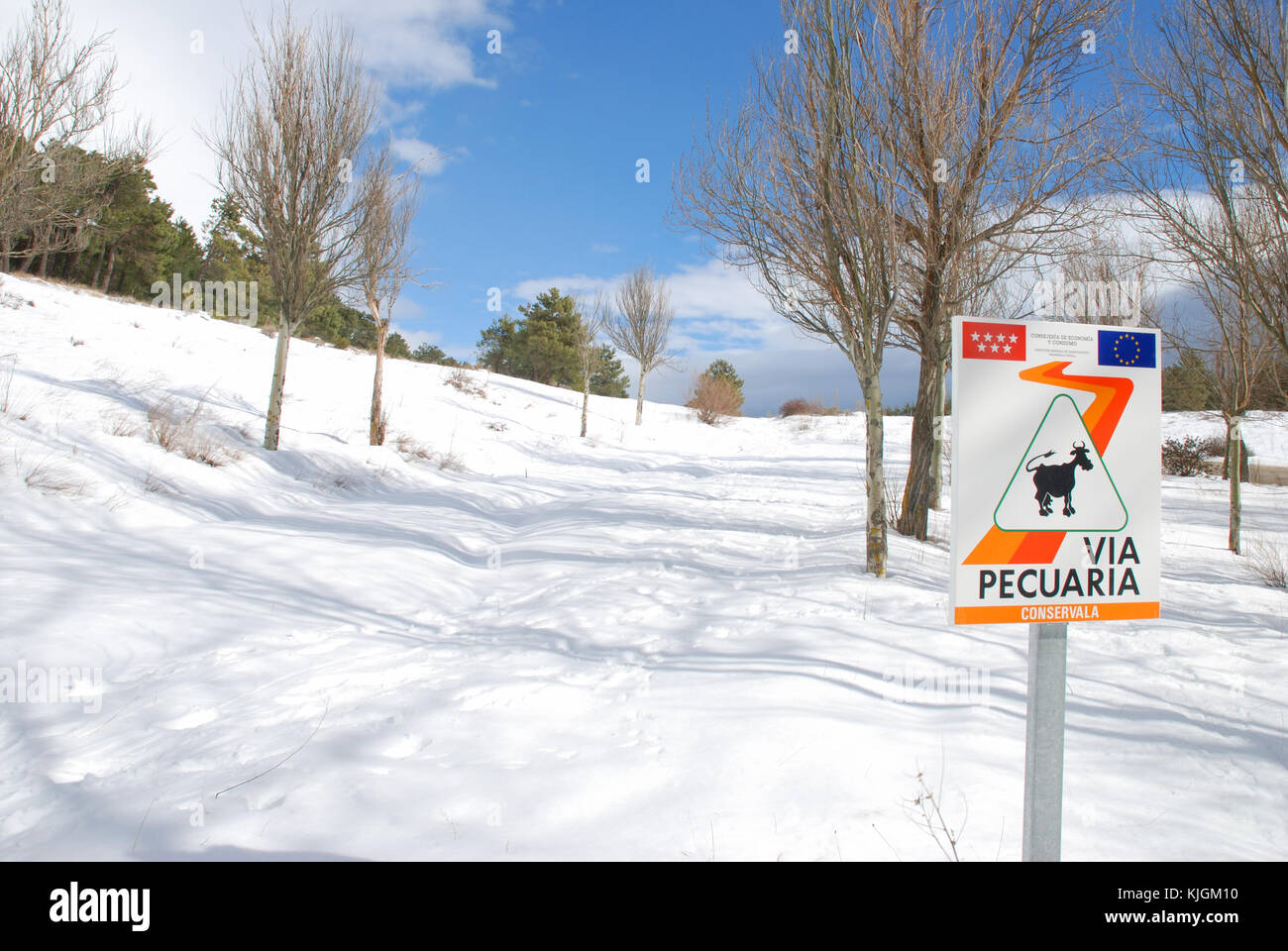 Paesaggi innevati. Bustarviejo, provincia di Madrid, Spagna. Foto Stock