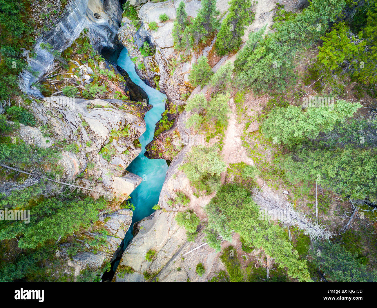 Incredibile mistaya canyon con ricchi di colore blu acqua proveniente da icefields, il parco nazionale di Banff, Alberta, Canada Foto Stock