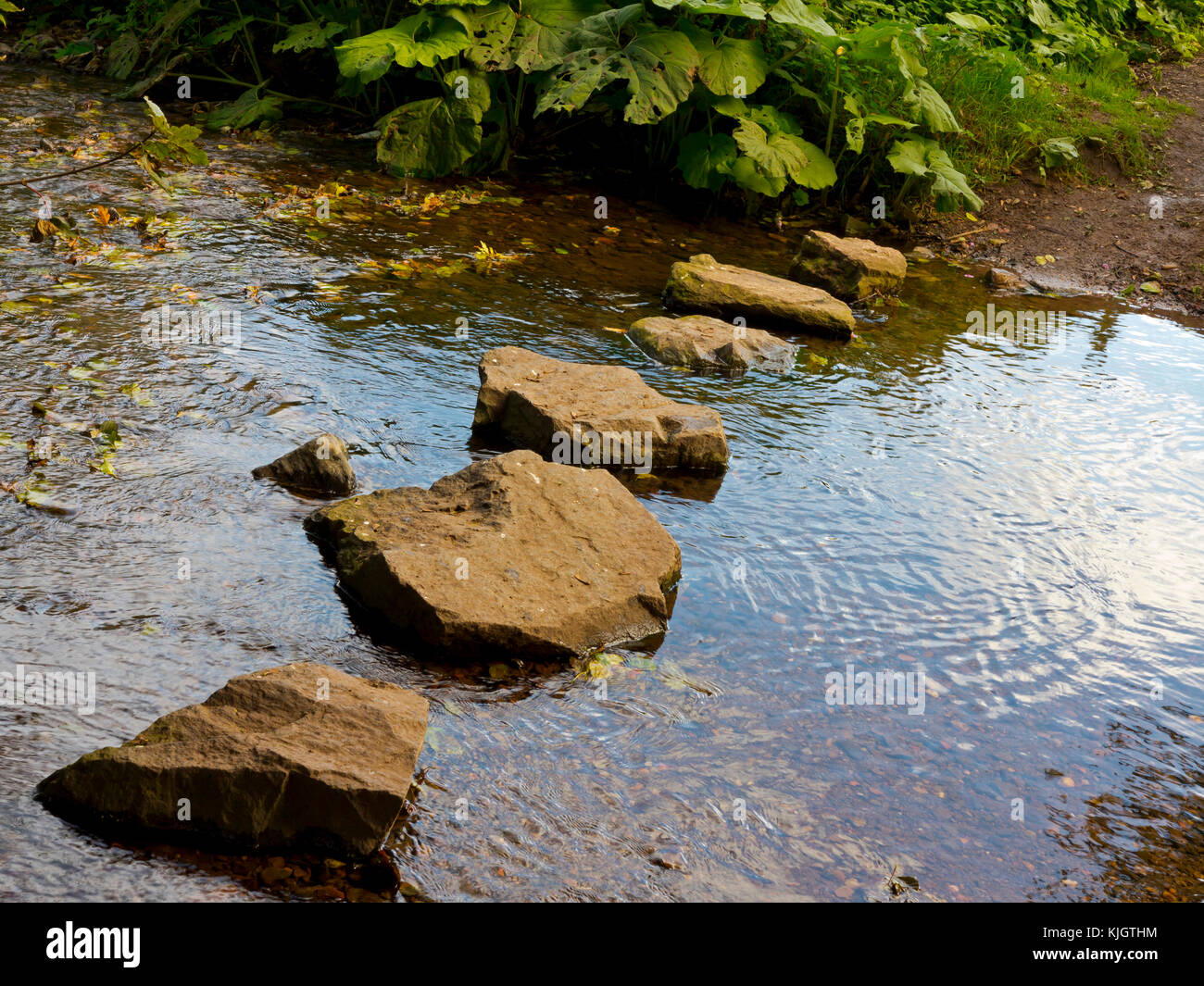 Pietre miliari nel corso di un piccolo ruscello circondato da acqua calma. Foto Stock