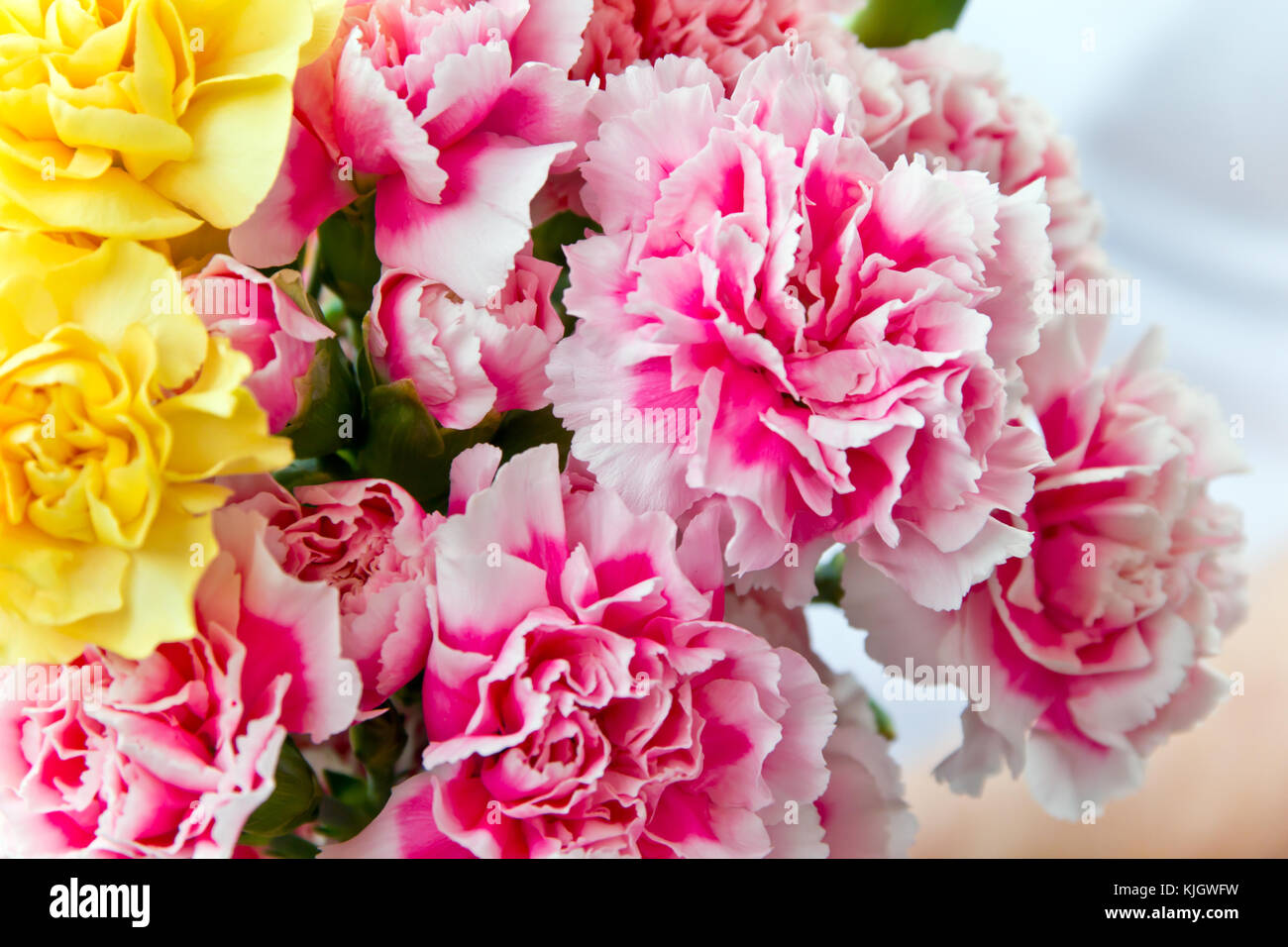 Foto di rosso e giallo i garofani in bouquet Foto Stock