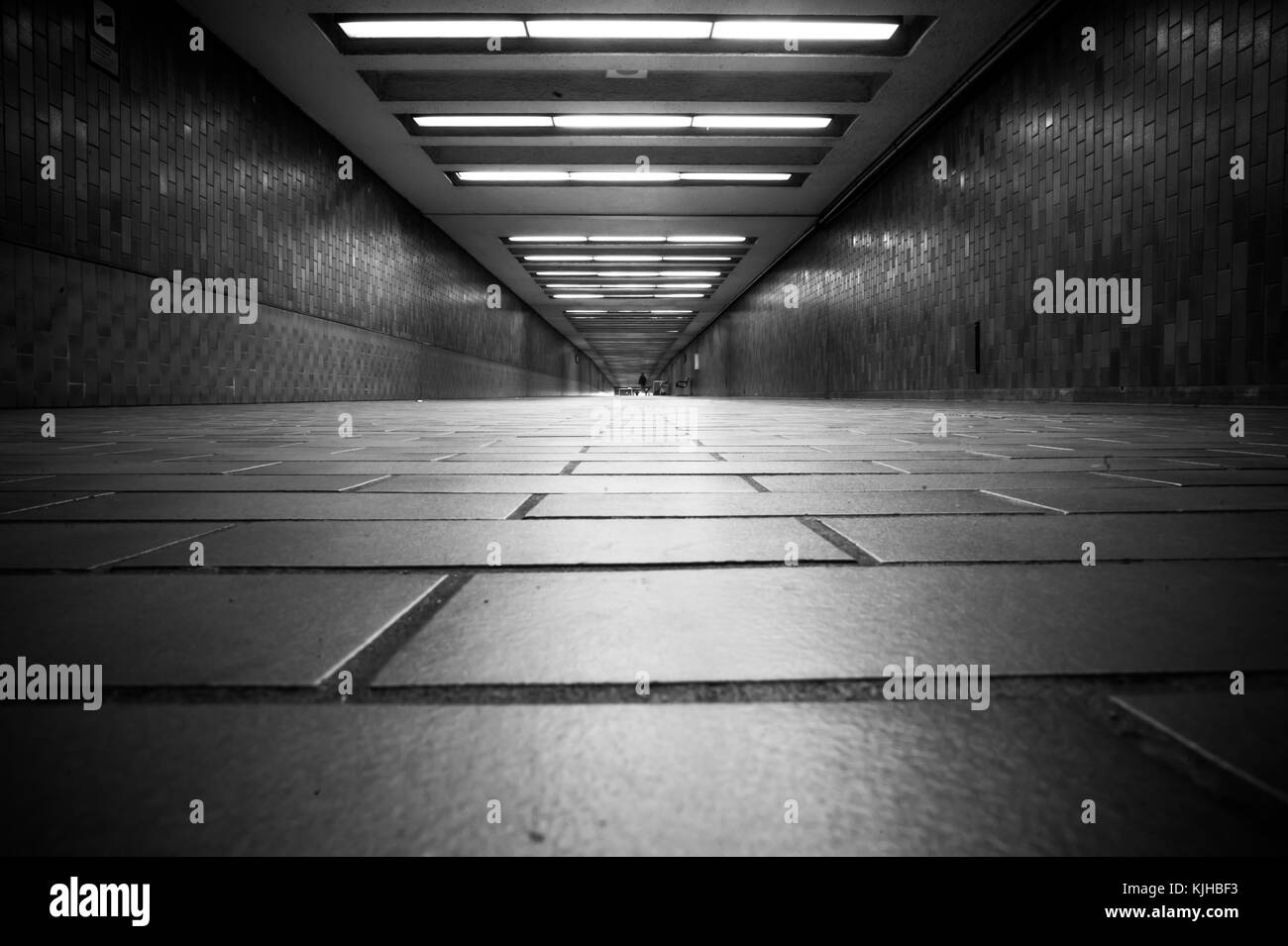 Spadina la stazione della metropolitana di Toronto Foto Stock