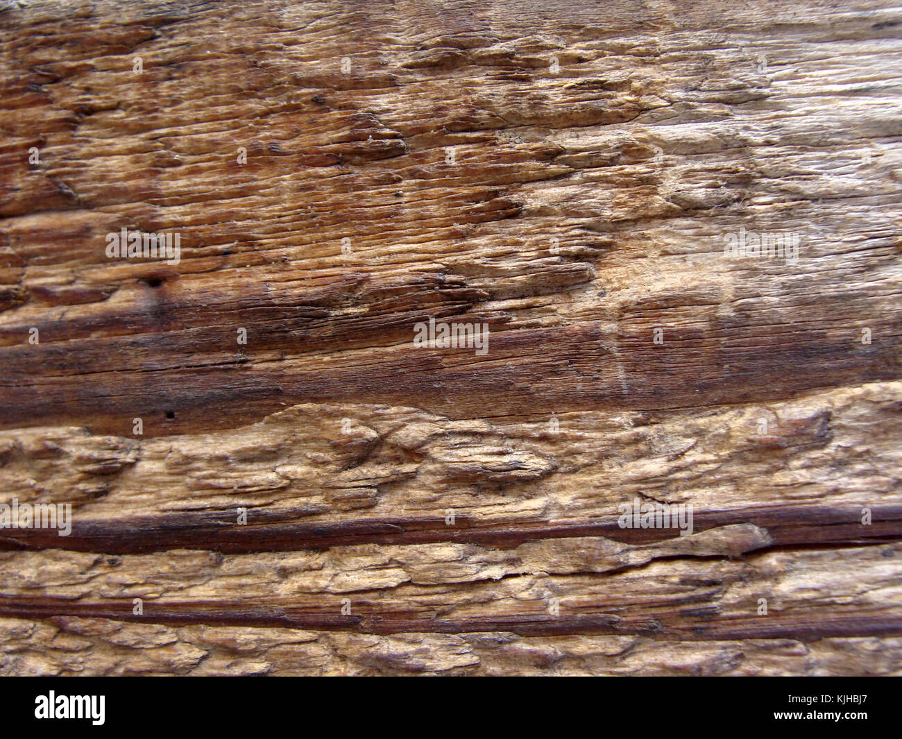 Superficie del vecchio weathered e graffiato legname close up Foto Stock