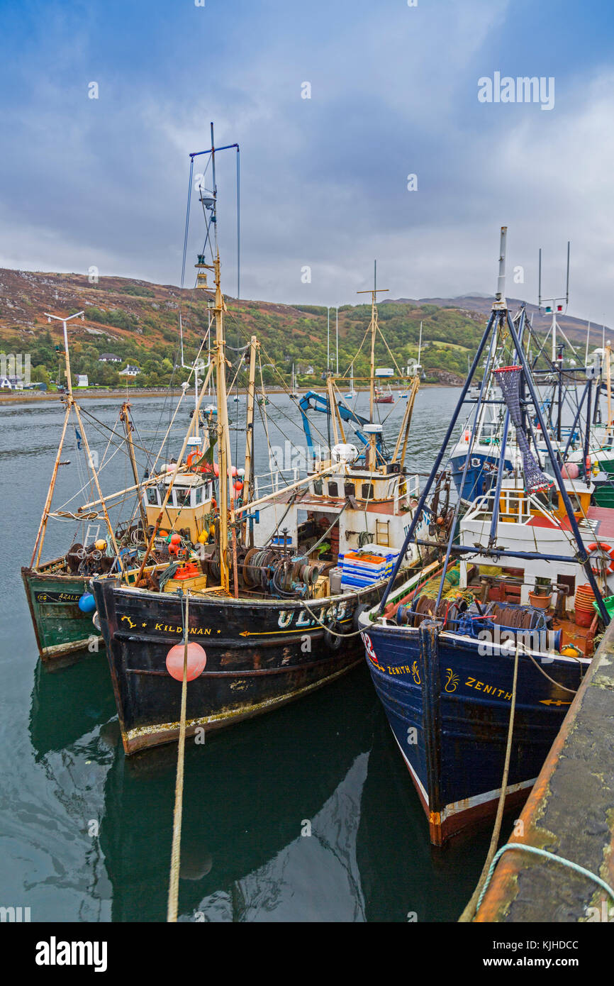 Una collezione di tradizionali barche da pesca ormeggiate a Loch Ginestra a Ullapool, Highland, Scotland, Regno Unito Foto Stock