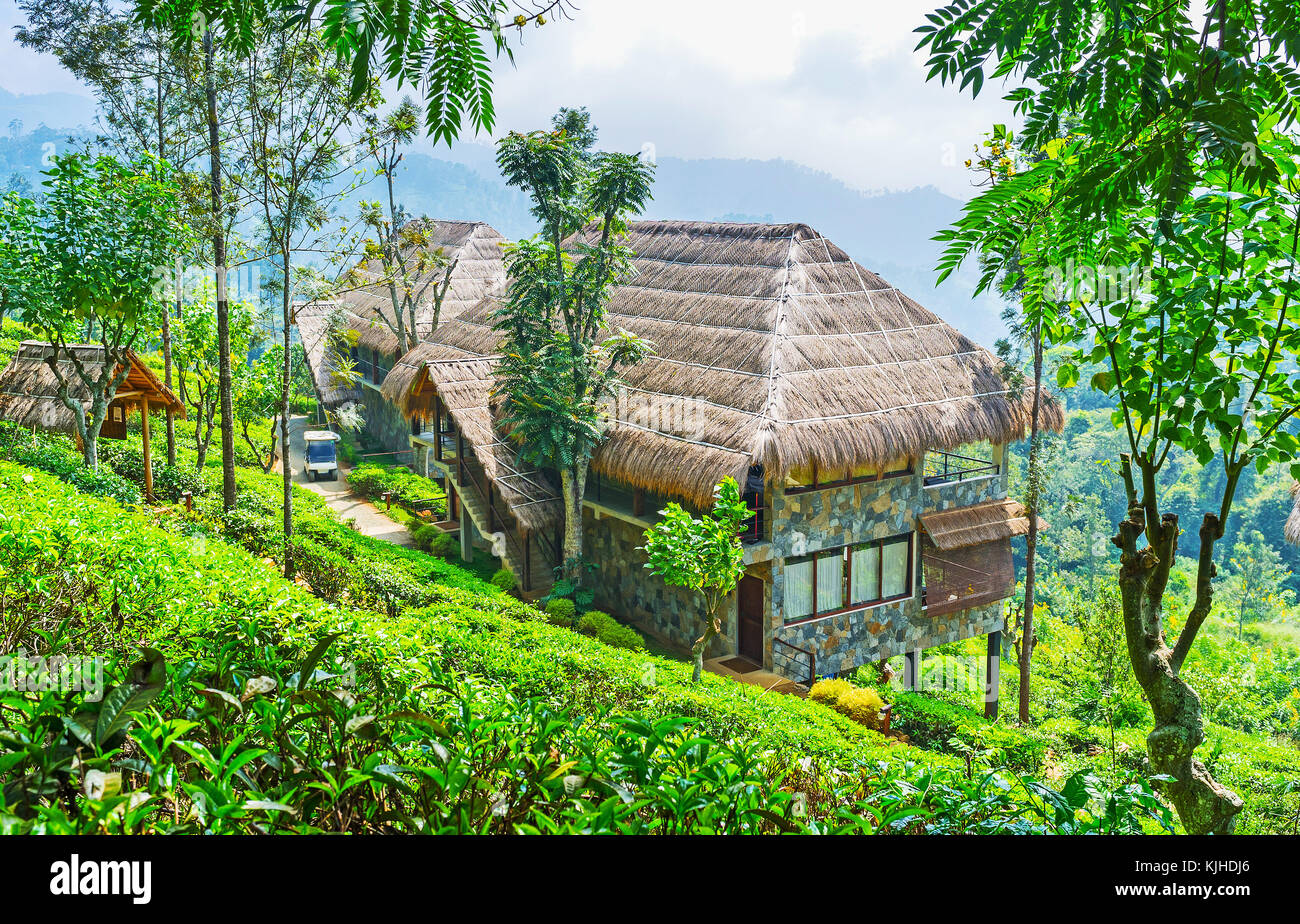 Ella resortboasts lusso immobiliare turistica, situato sul pendio della montagna e circondato da arbusti di tè di piantagione locale, sri lanka. Foto Stock