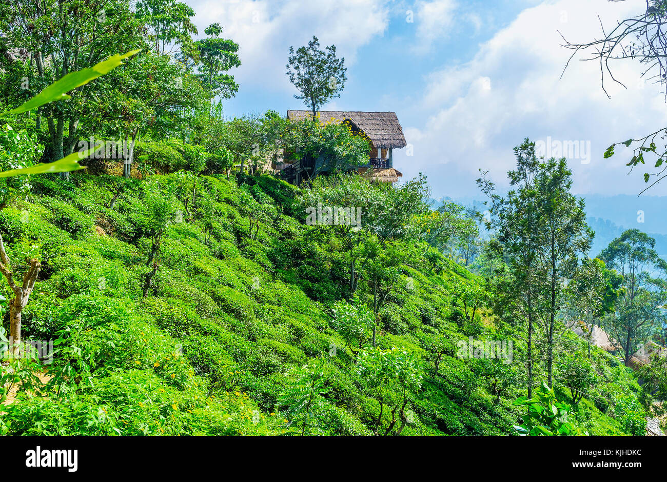 Ella città di montagna è popolare resort agrituristica, le sue autentiche case turistiche sono situate tra il tè verde arbusti di piantagioni locali, sri lank Foto Stock