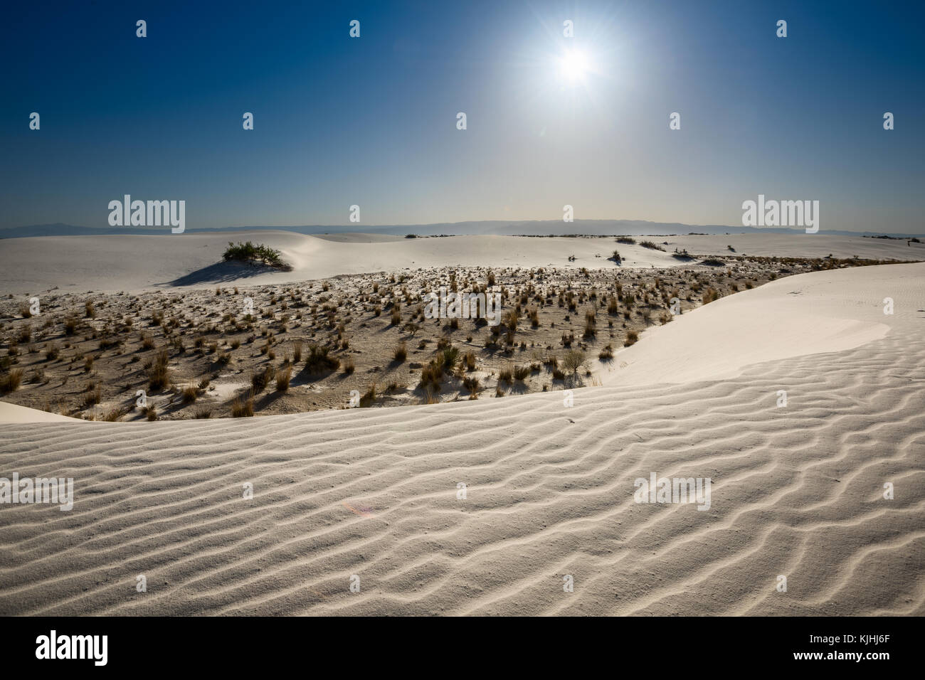 Le uniche e bellissime spiagge di sabbia bianca monumento nazionale nel Nuovo Messico.Questo gesso campo di dune è il più grande del suo genere in tutto il mondo. Situato in Southe Foto Stock