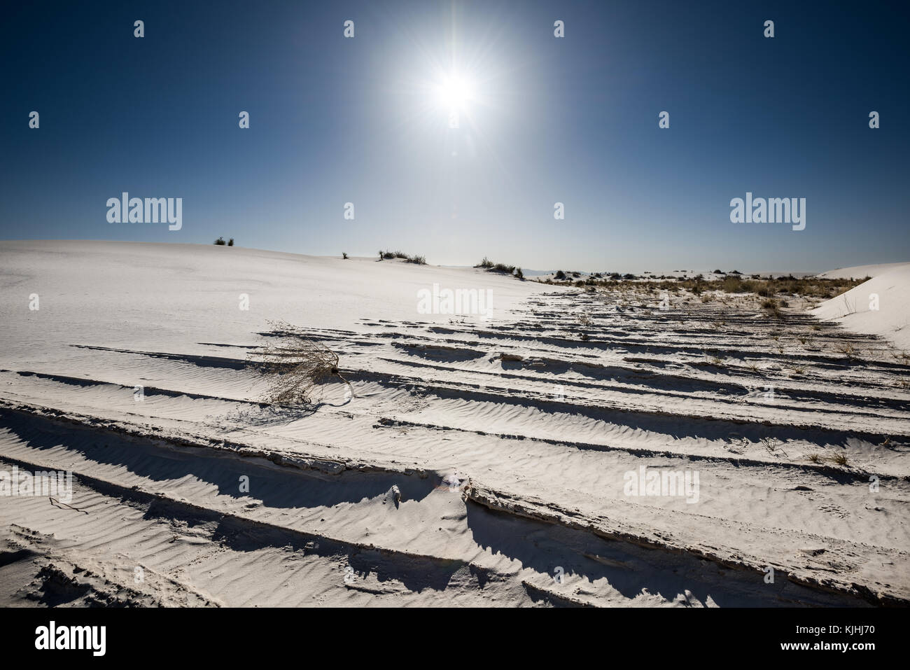 Le uniche e bellissime spiagge di sabbia bianca monumento nazionale nel Nuovo Messico.Questo gesso campo di dune è il più grande del suo genere in tutto il mondo. Situato in Southe Foto Stock