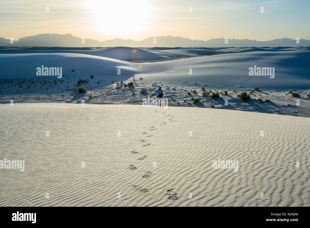 Le uniche e bellissime spiagge di sabbia bianca monumento nazionale nel Nuovo Messico.Questo gesso campo di dune è il più grande del suo genere in tutto il mondo. Situato in Southe Foto Stock