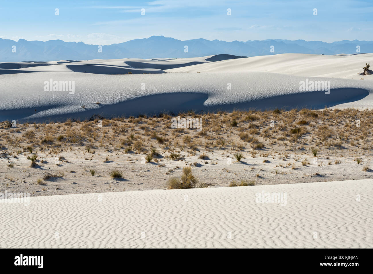 Le uniche e bellissime spiagge di sabbia bianca monumento nazionale nel Nuovo Messico.Questo gesso campo di dune è il più grande del suo genere in tutto il mondo. Situato in Southe Foto Stock