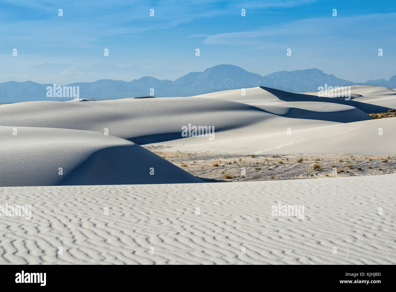 Le uniche e bellissime spiagge di sabbia bianca monumento nazionale nel Nuovo Messico.Questo gesso campo di dune è il più grande del suo genere in tutto il mondo. Situato in Southe Foto Stock