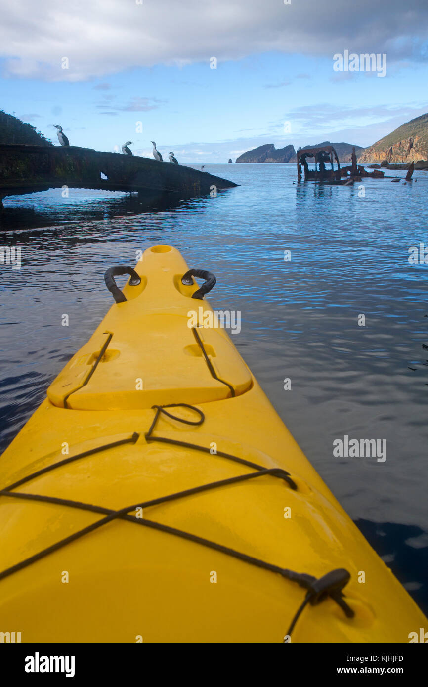 Kayak in canoa bay con il relitto del ss William Pitt Foto Stock