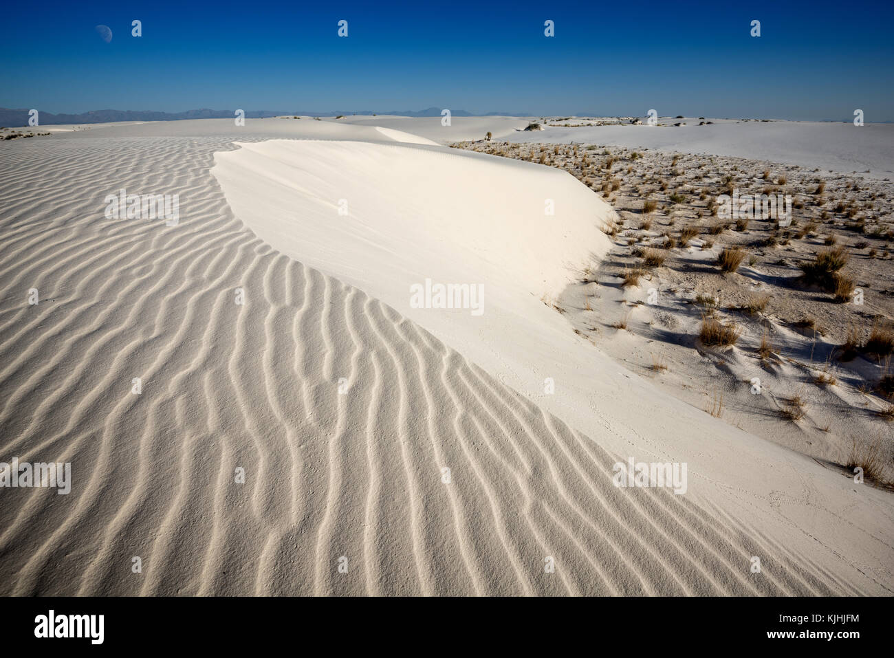 Le uniche e bellissime spiagge di sabbia bianca monumento nazionale nel Nuovo Messico.Questo gesso campo di dune è il più grande del suo genere in tutto il mondo. Situato in Southe Foto Stock