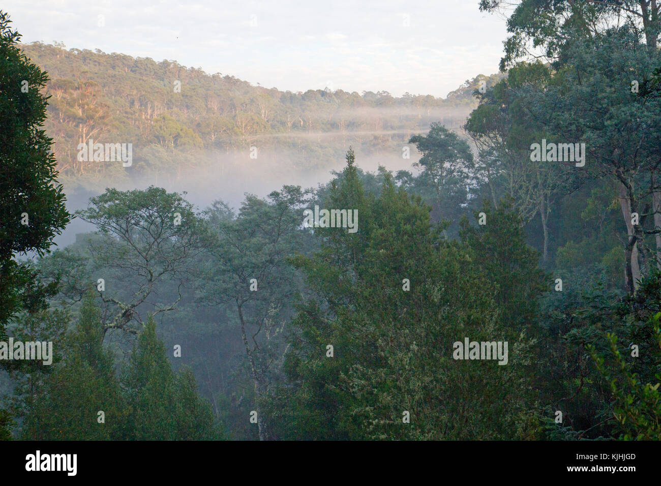 Foschia mattutina sopra la cascata valle, il centro del derby blue mountain bike trail network Foto Stock