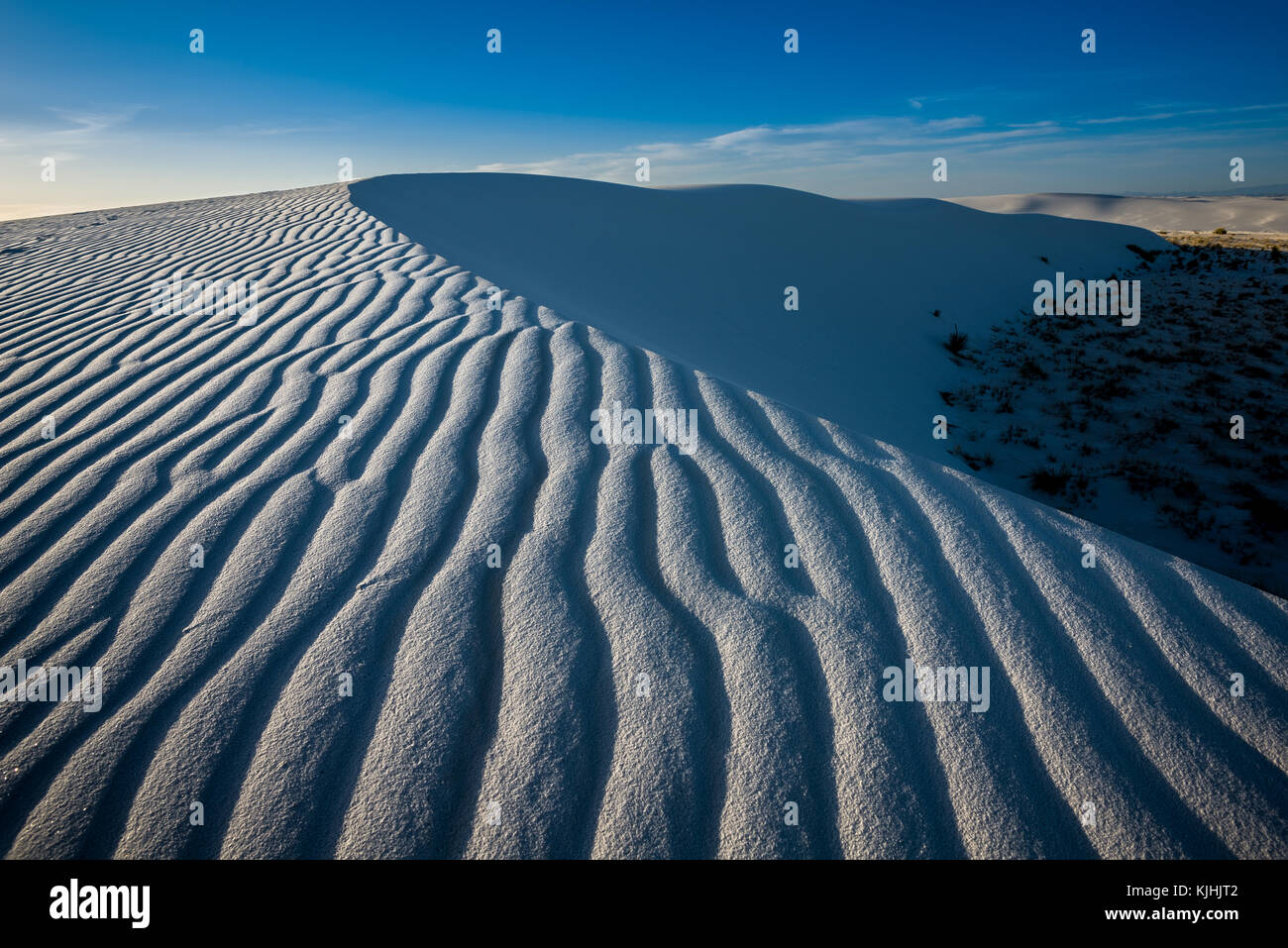 Le uniche e bellissime spiagge di sabbia bianca monumento nazionale nel Nuovo Messico.Questo gesso campo di dune è il più grande del suo genere in tutto il mondo. Situato in Southe Foto Stock