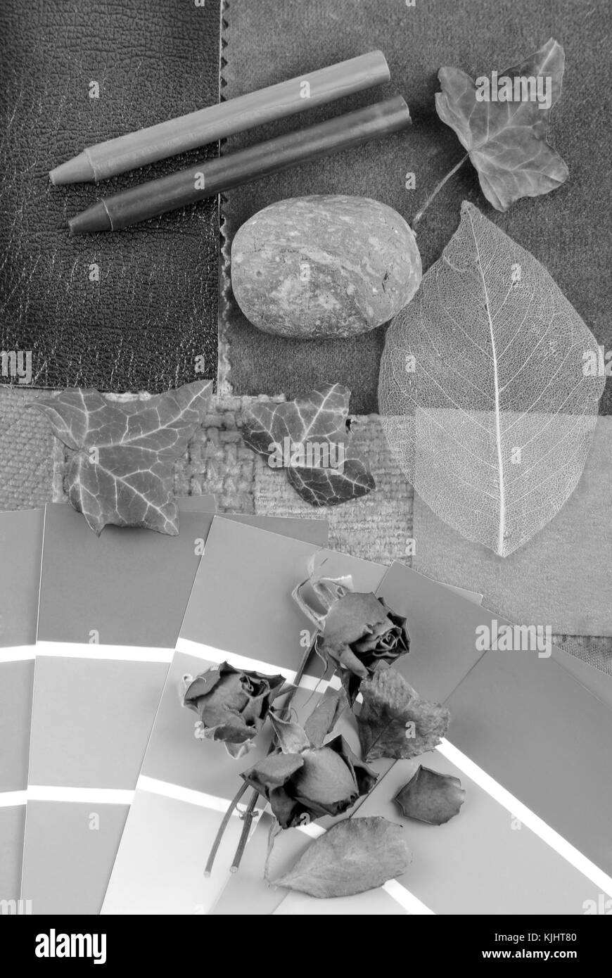 Colore grigio armonizzazione per interni Foto Stock