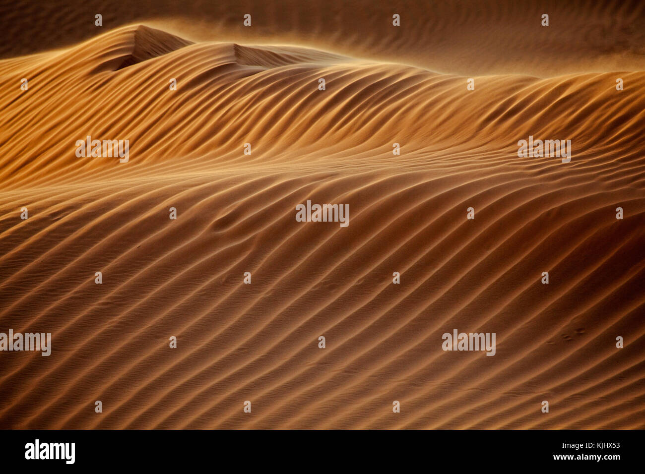 Close-up di una duna di sabbia nel deserto, Arabia Saudita Foto Stock