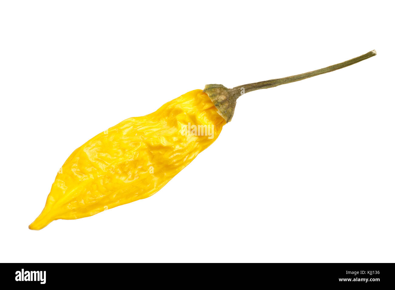 Essiccato aji lemon drop peperoncino (capsicum baccatum). vista superiore, tracciato di ritaglio Foto Stock