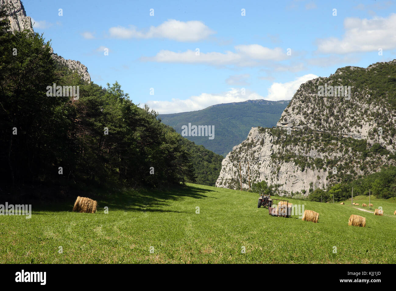 Vista delle balle di fieno sul campo. La Francia. Foto Stock