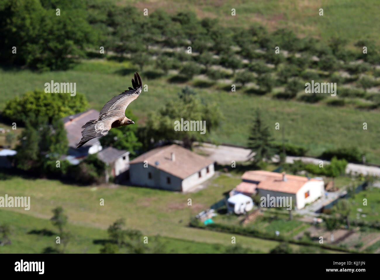 Vista panoramica del settore agricolo. Remuzat. La Francia. Foto Stock
