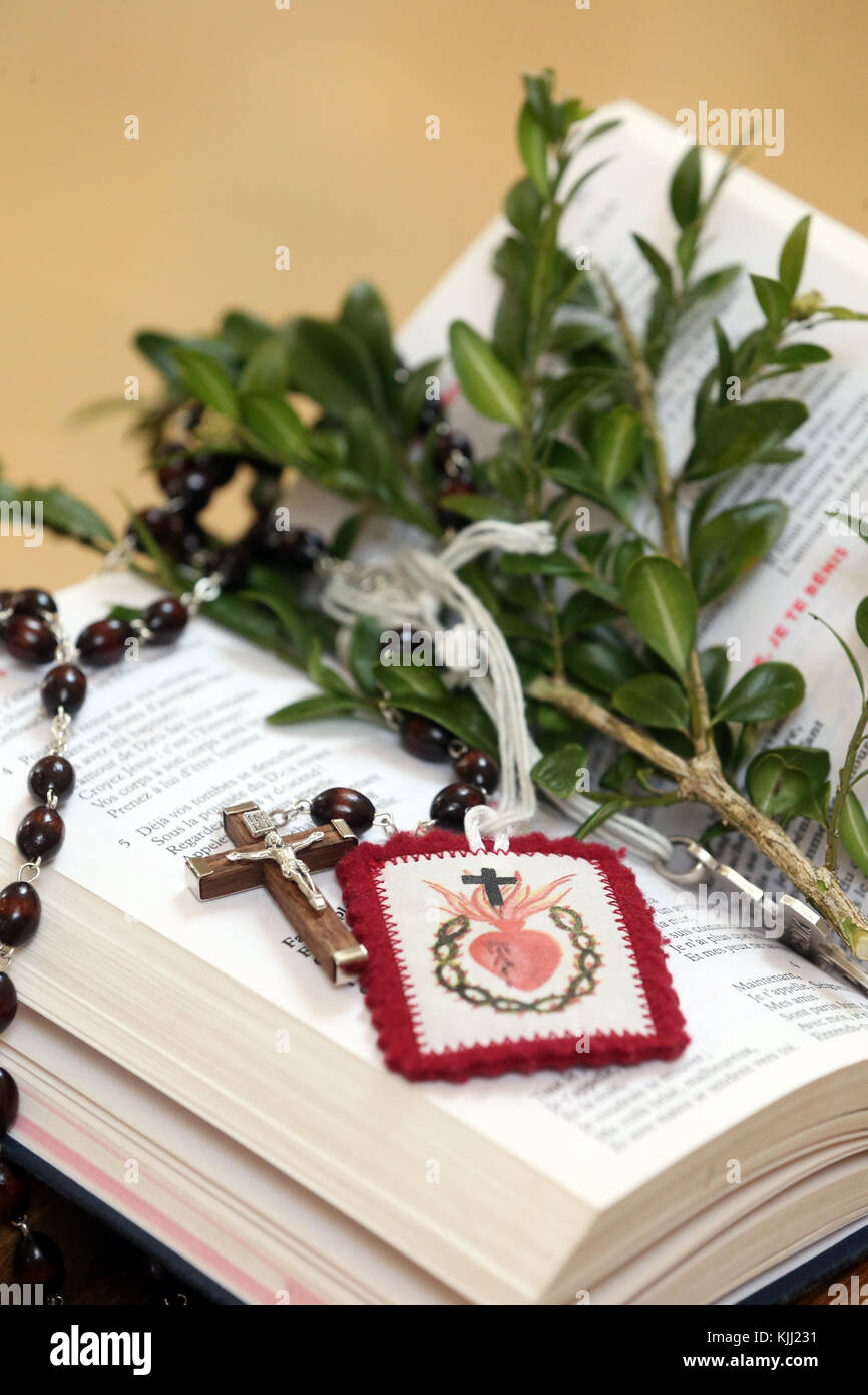 La settimana santa. Celebrazione della Domenica delle Palme. La Bibbia e il legno di bosso. Saint Nicolas de Veroce. La Francia. Foto Stock