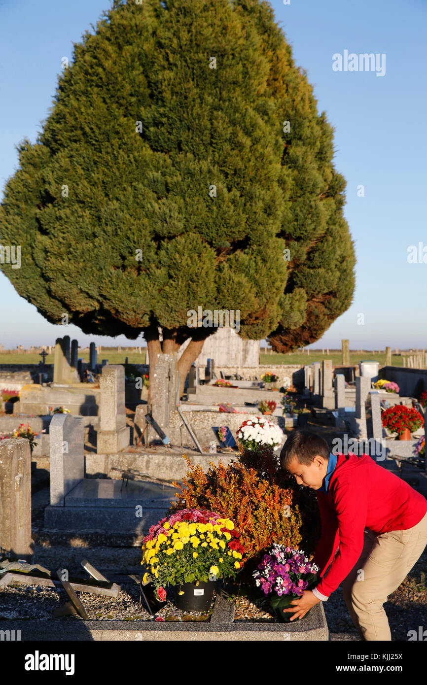 Ragazzo immissione fiori su una tomba. La Francia. Foto Stock