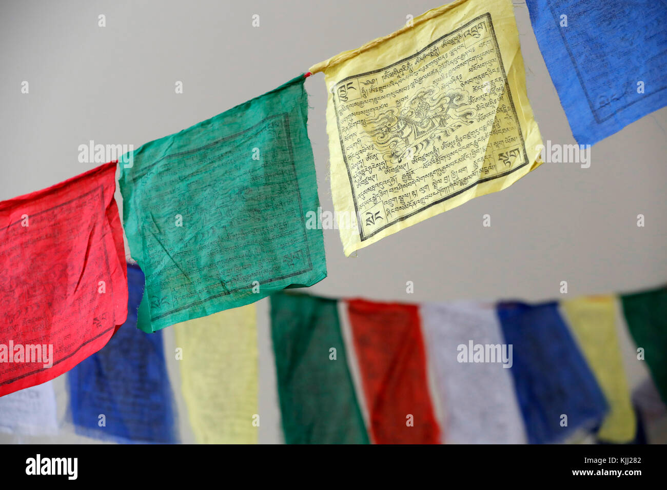 Nervana Bandiere Di Preghiera Tibetane Fatte A Mano | 25x25 Cm, 5 Colori Elementi, Cavallo Del Vento | Set Da 7 Metri Per Esterno/interno