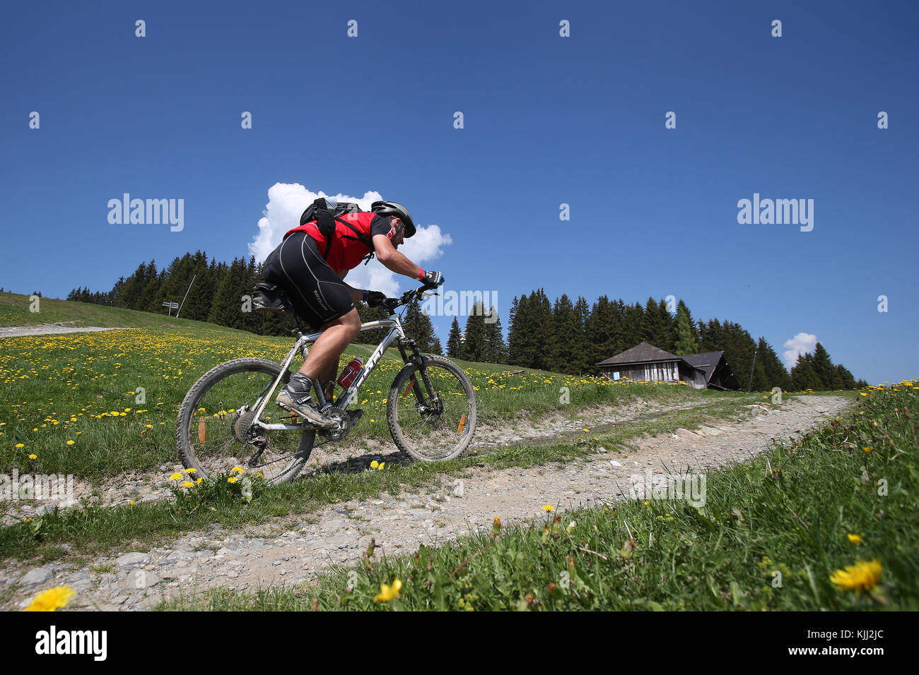 Mountain bike race nelle Alpi francesi. La Francia. Foto Stock