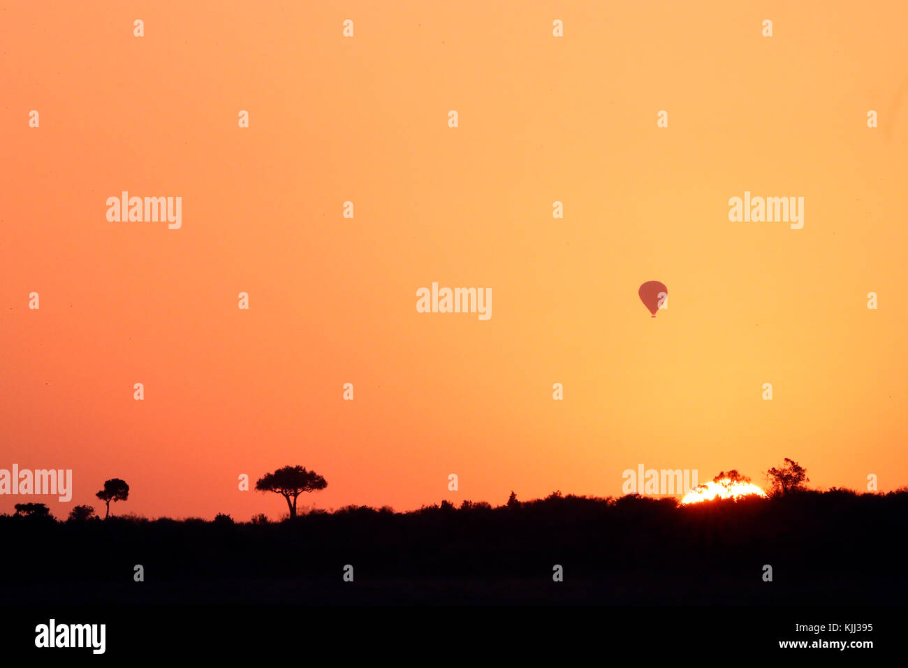 Il sorgere del sole sulla savana. Masai Mara Game Reserve. Kenya. Foto Stock